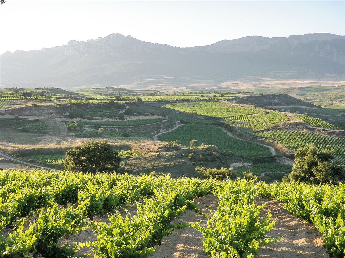 Rioja Alavesa: Sierras de Cantabria y Toloño