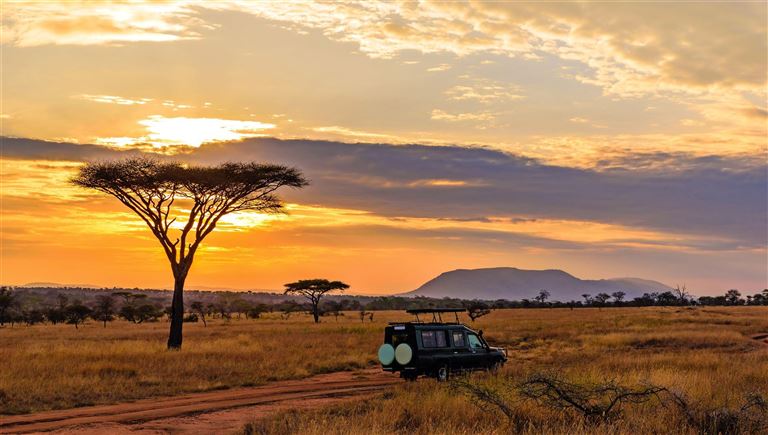 Nationalparks in Tanzania und Kenia – Rundreise