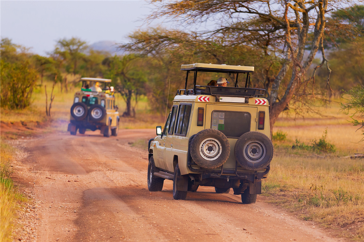 Auf Safari, im Jeep mit Hubdach