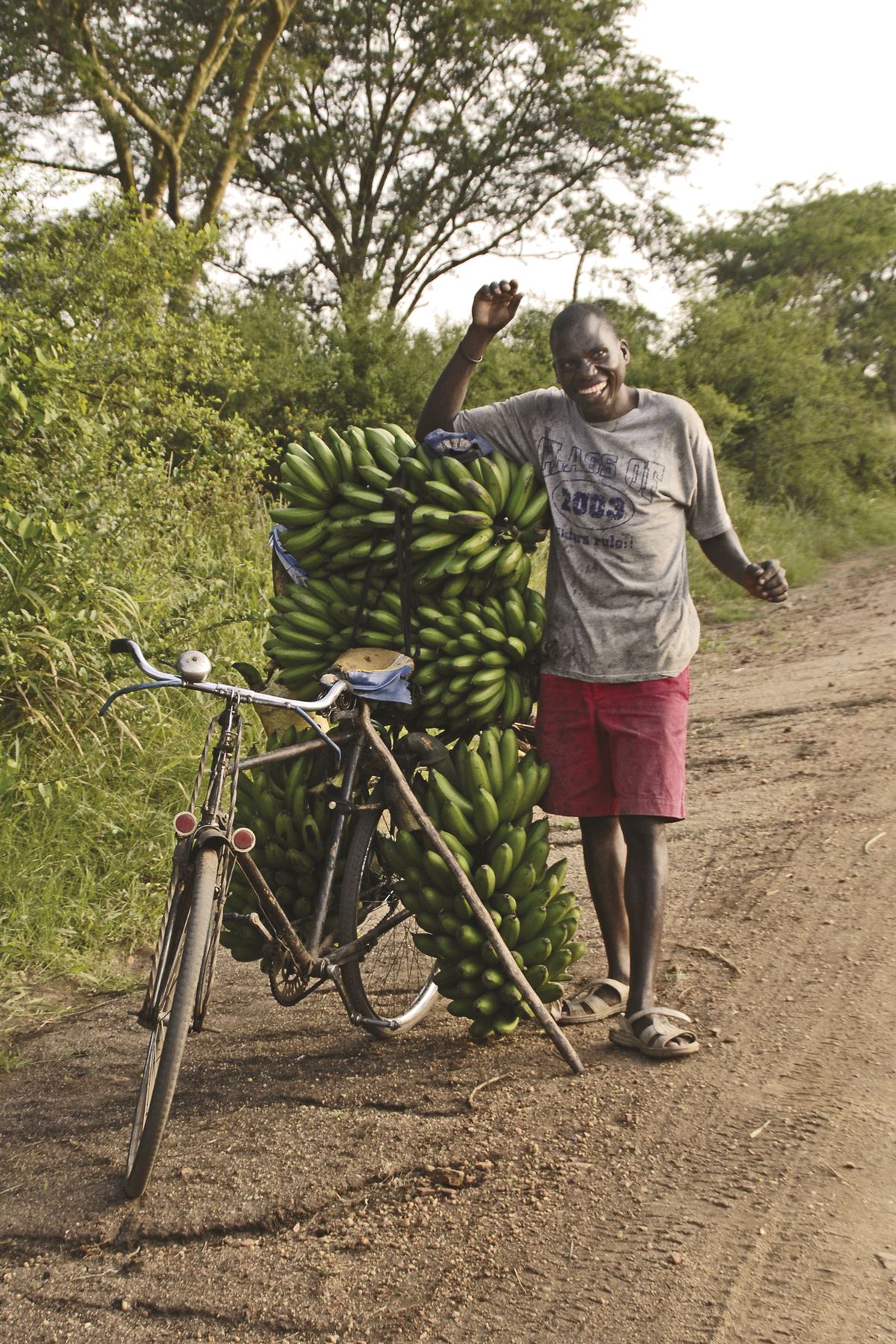 Fröhlicher Bananen-Transporteur