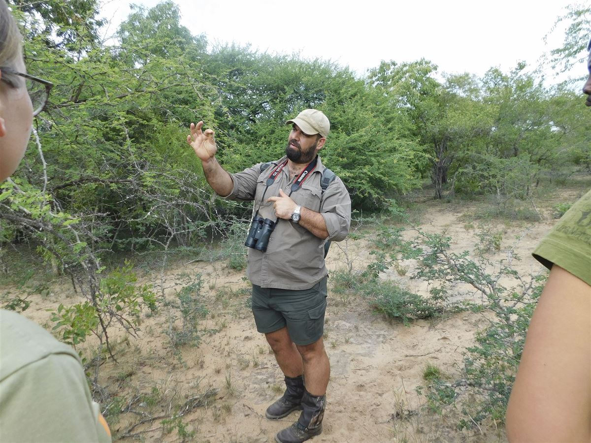 Safariguide erklärt Interessantes