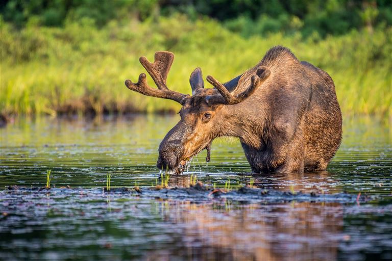 Pulsierende Städte und faszinierende Natur  – Rundreise