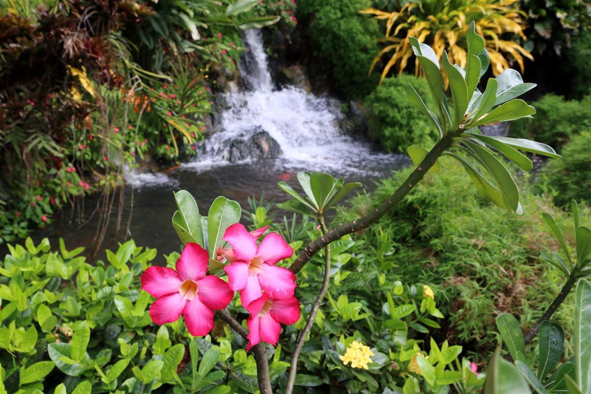 Guadeloupe