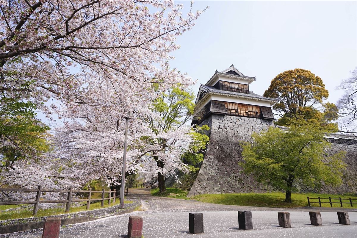 Kumamoto während der Sakura-Zeit