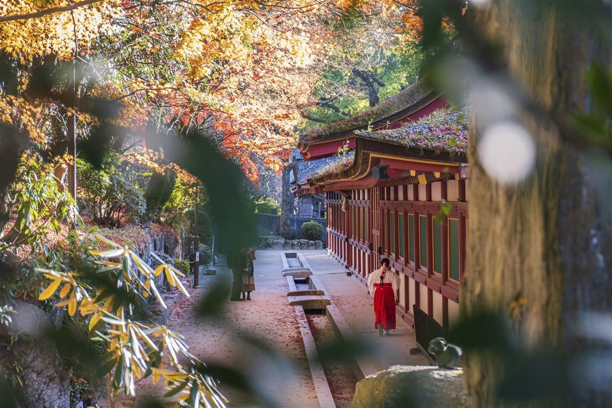 Der Tenmangu-Schrein in Dazaifu