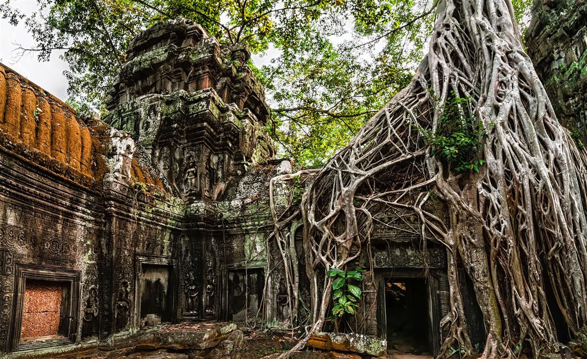 Ta Prohm-Tempel