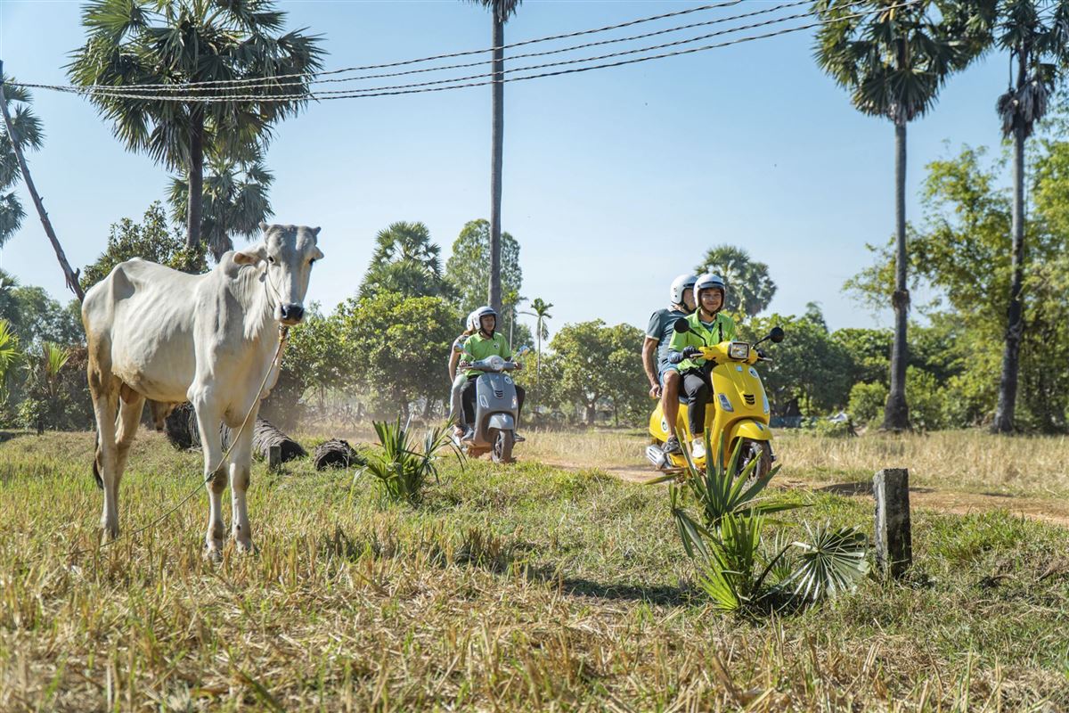 mit Vespas übers Land
