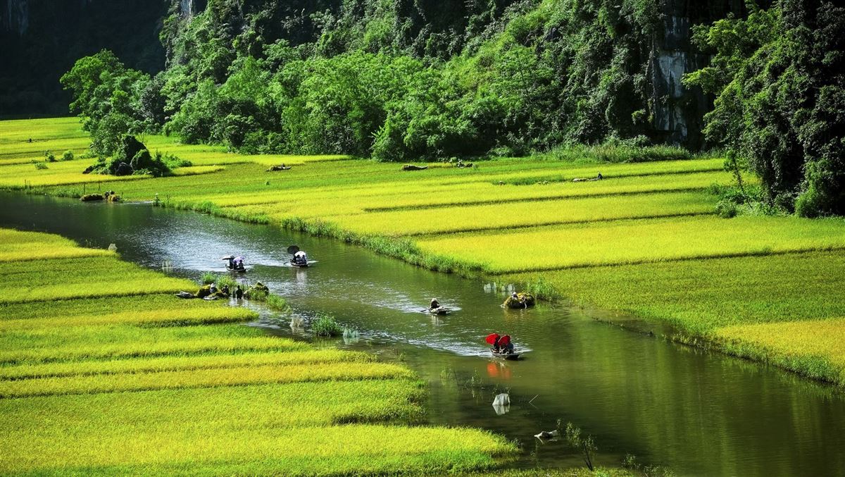 Boote in der Provinz Ninh Binh