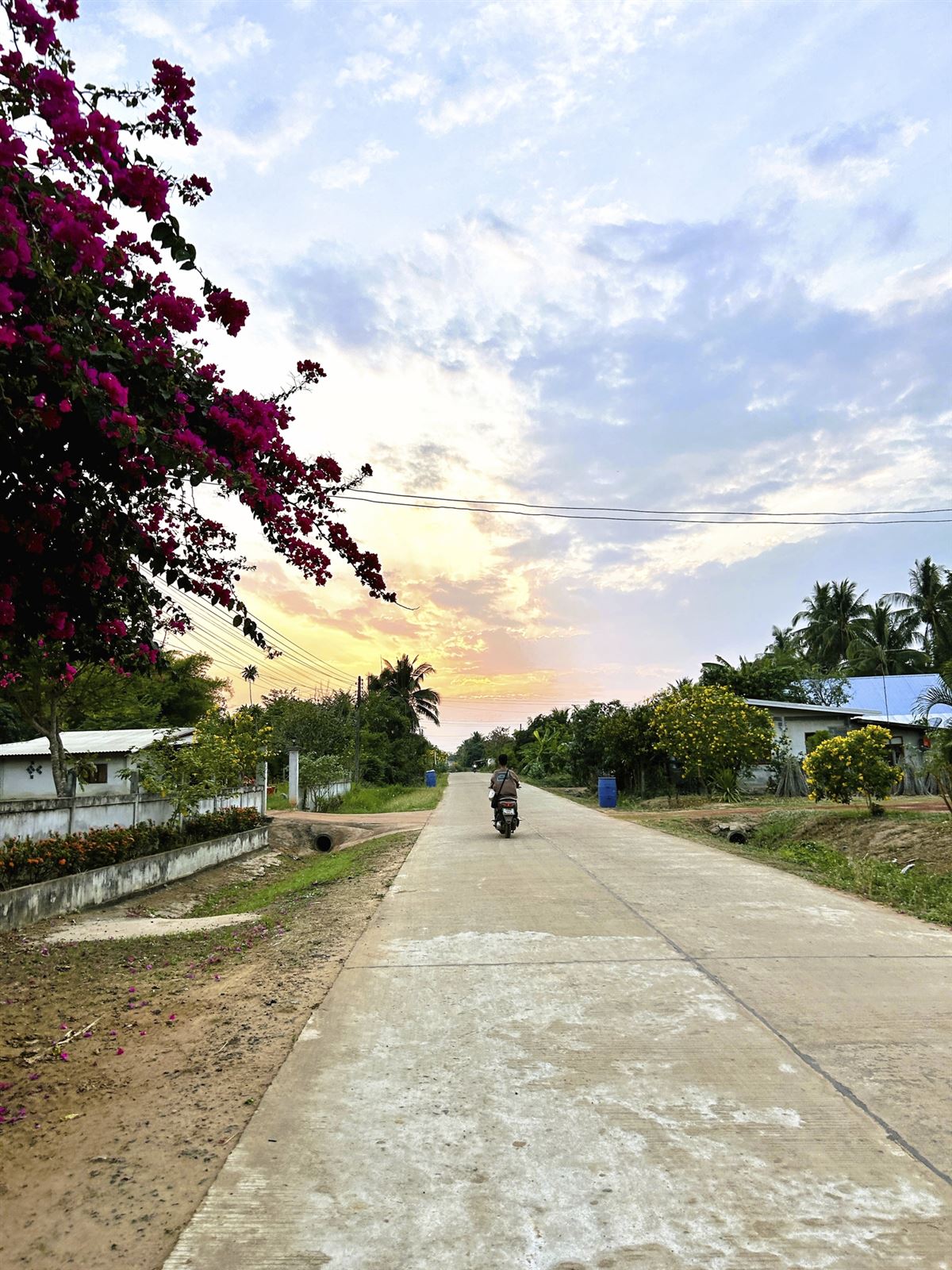 in Nong Mai Ngam