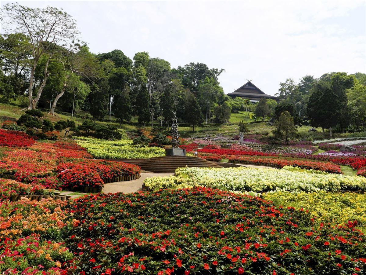 Mae Fah Luang botanischer Garten, Chiang Rai