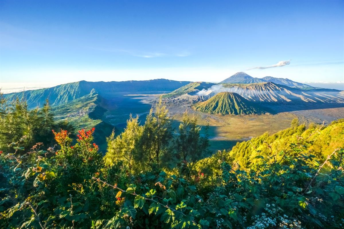 bali