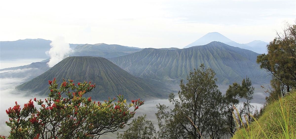 Am Bromo-Vulkan