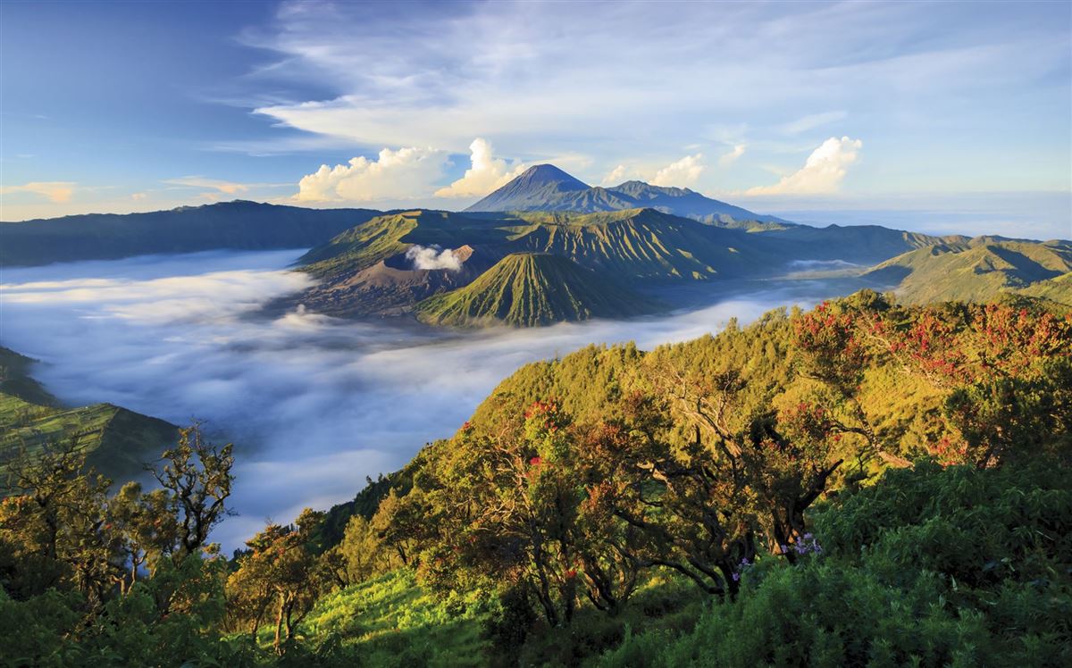 Blick über das Mount Bromo-Vulkanmassiv