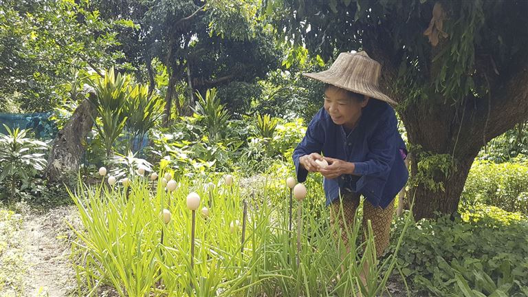 Thailand aktiv – Rundreise
