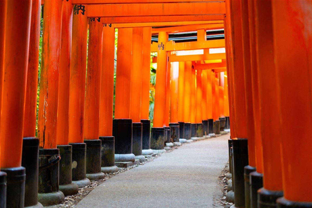 Leuchtend rote Torii am Fushimi Inari in Kyoto, Japan
