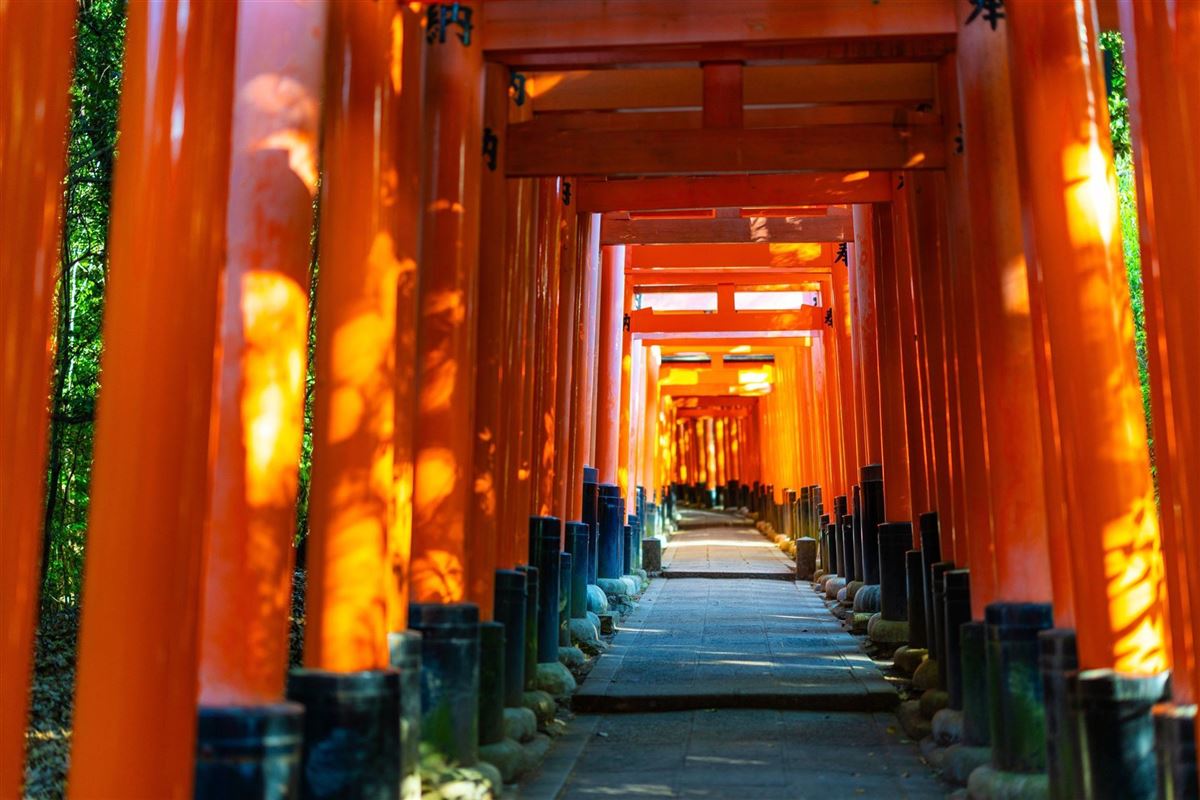 Fushimi-Inari-Taisha-Schrein in Kyoto, Japan.