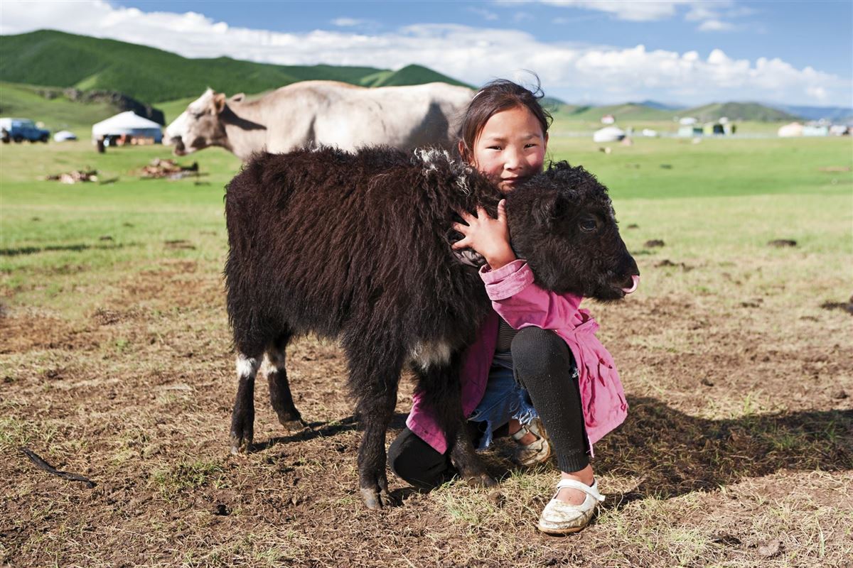 Mongolisches Nomadenmädchen mit Kälbchen