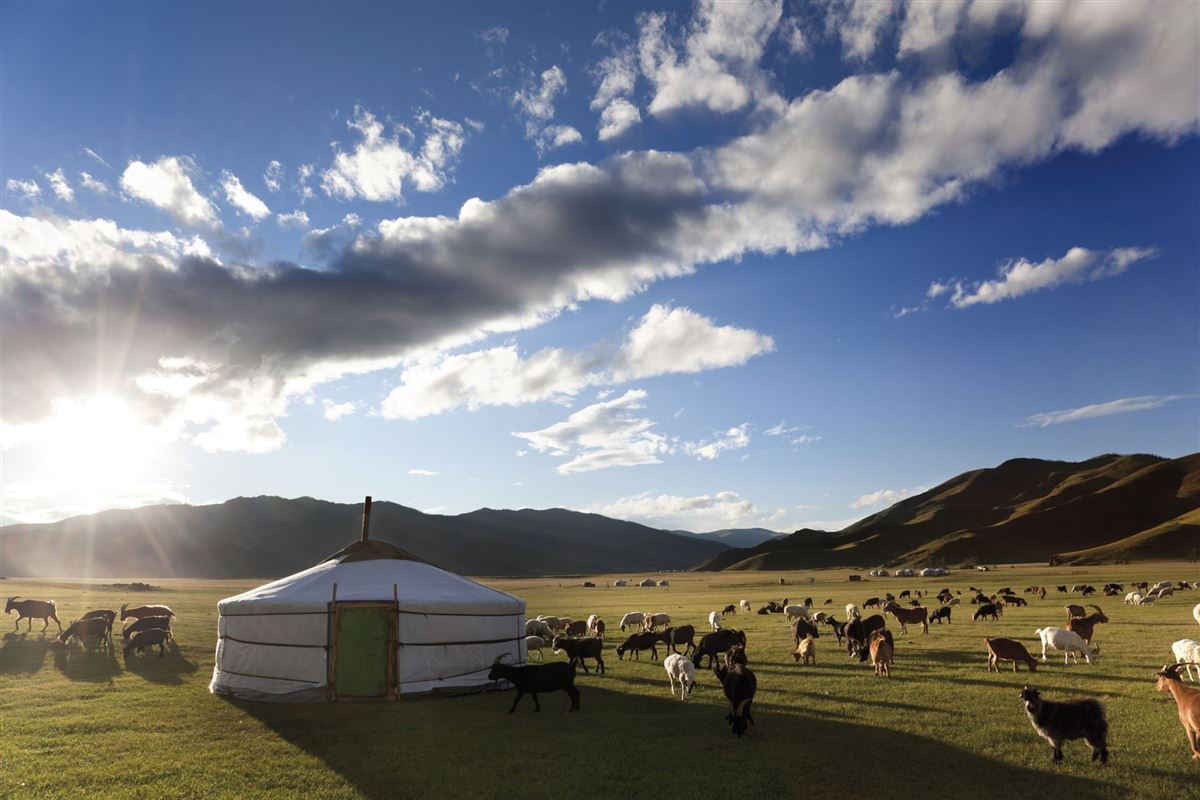 Jurte in der mongolischen Steppe