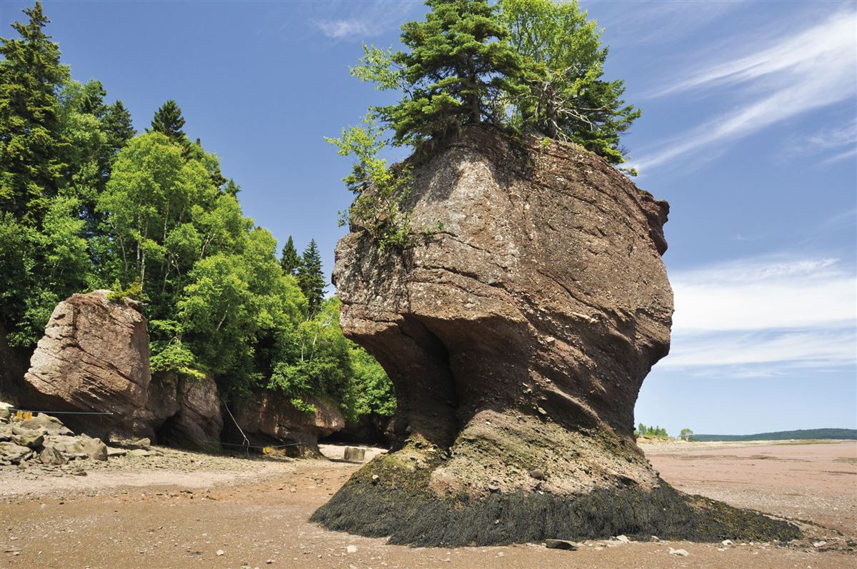 Hopewell Rocks in der Bay of Fundy