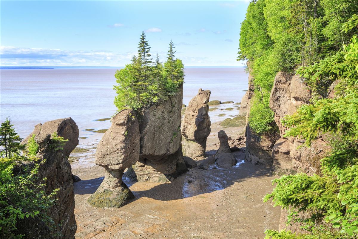 Felsformationen am Hopewell Rock in New Brunswick