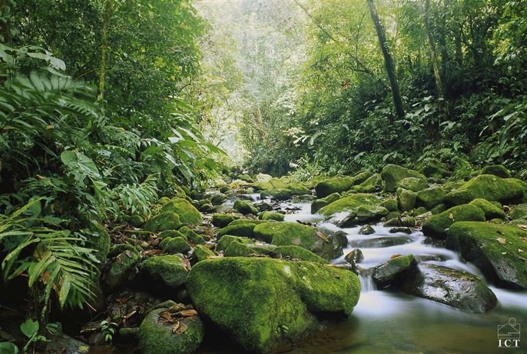 Zentralamerika: Costa Rica (- Panamá) – Rundreise