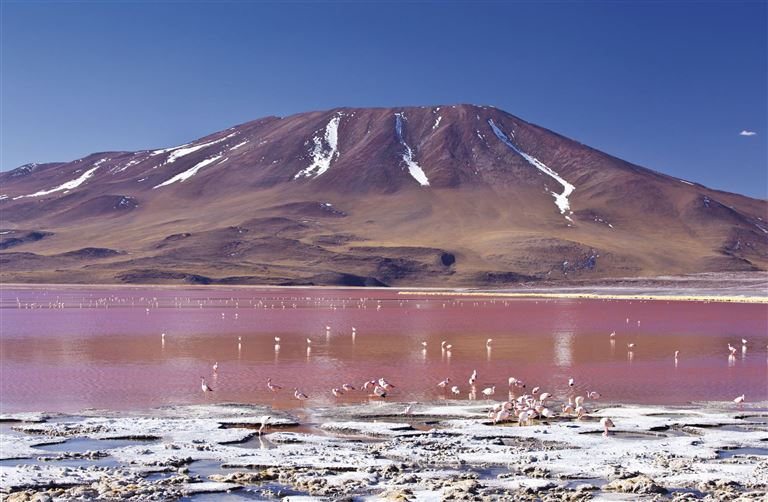 Höhepunkte Boliviens – Rundreise