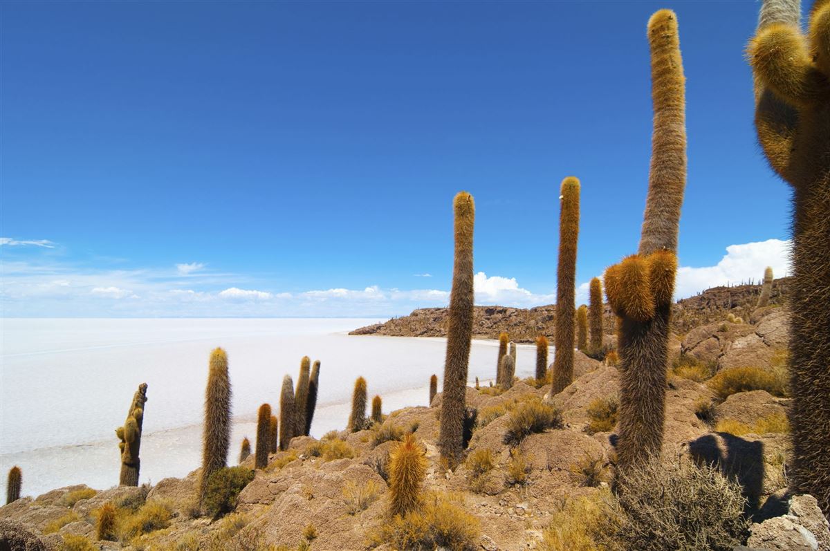 Der Salar de Uyuni, ein Meer aus Salz