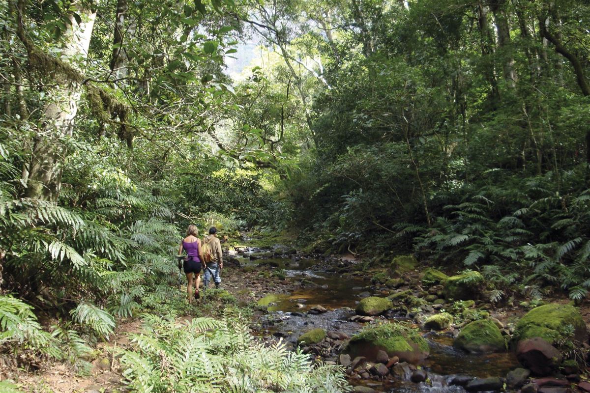 Amboro-Nationalpark