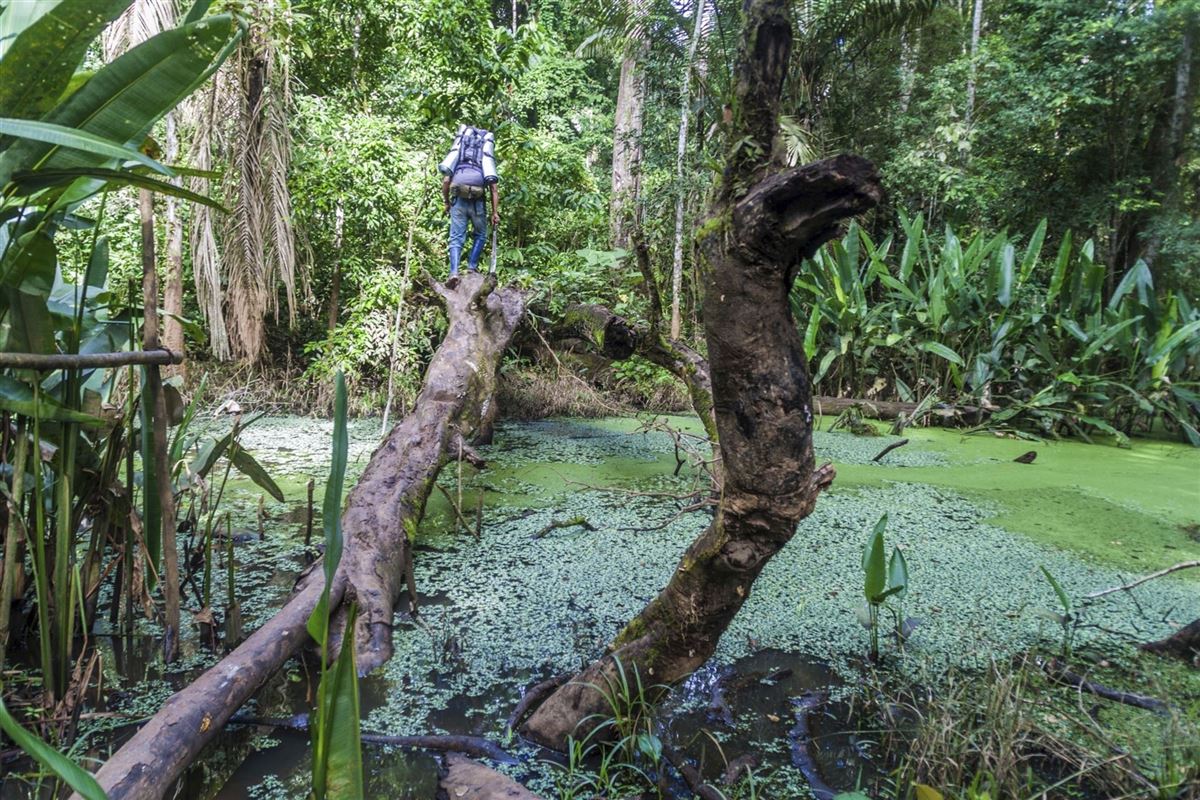 Im Madidi Nationalpark