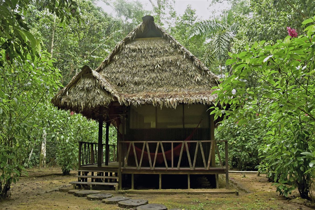 Maldidi NP.
