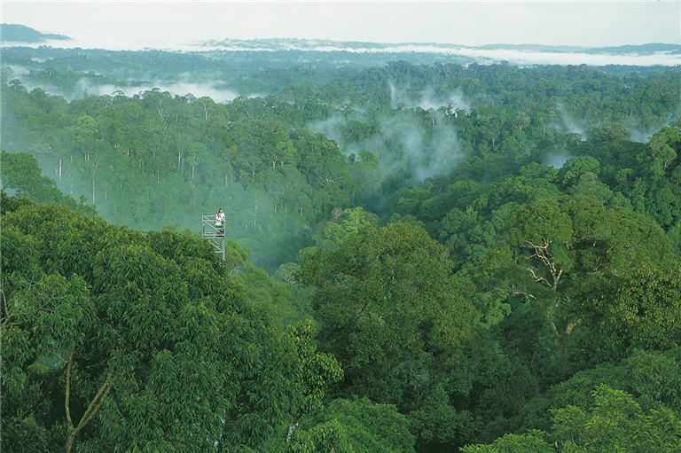 Höhepunkte Borneos mit Brunei – Rundreise
