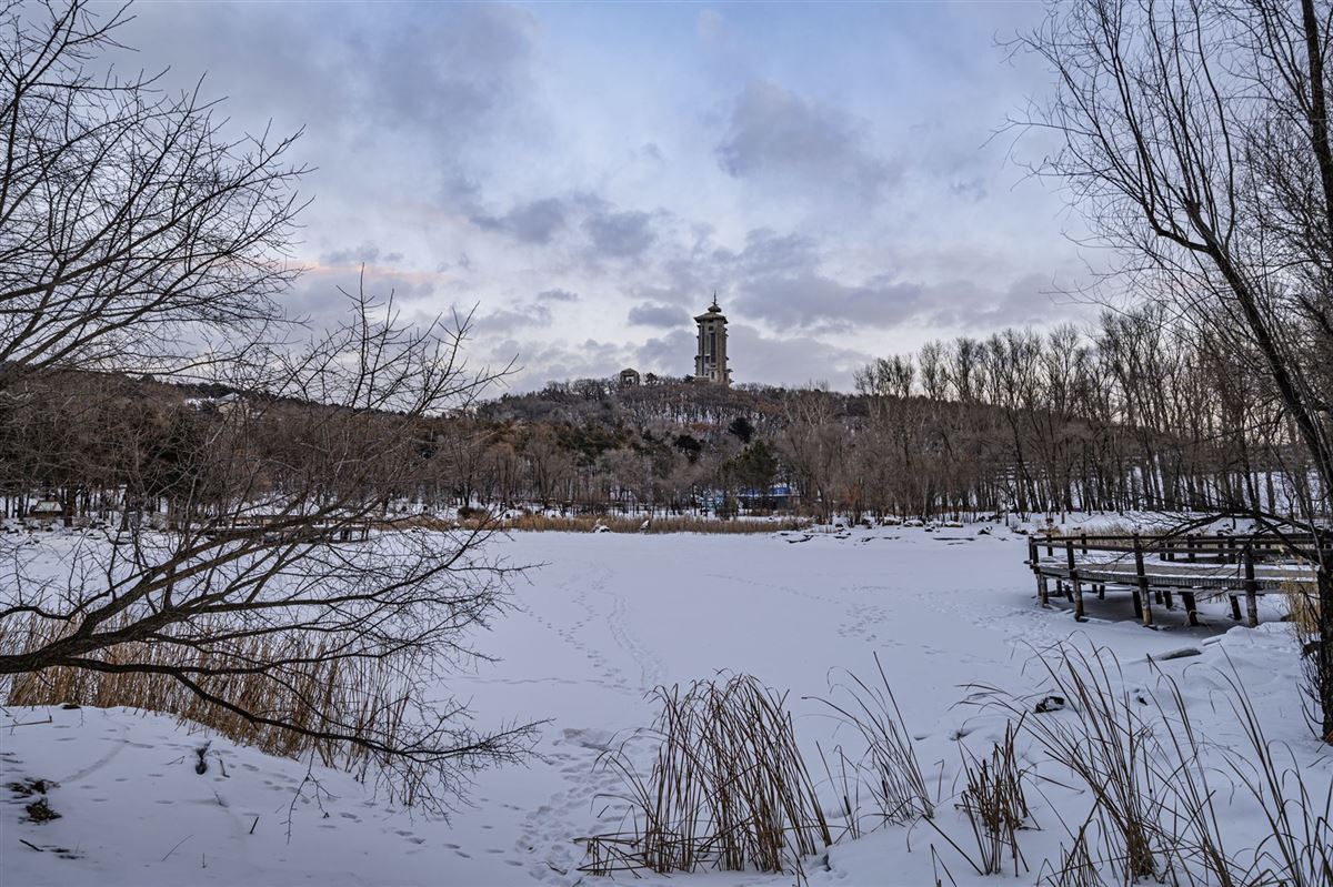 Landschaft des Jingyuetan National Forest Park in Changchun, China im Winter