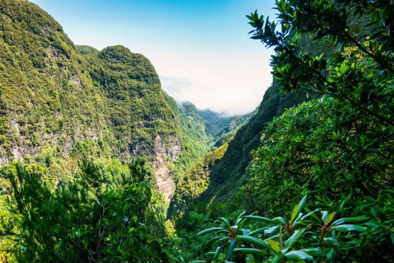 Entspanntes Wandern auf Madeira @benedek/istock