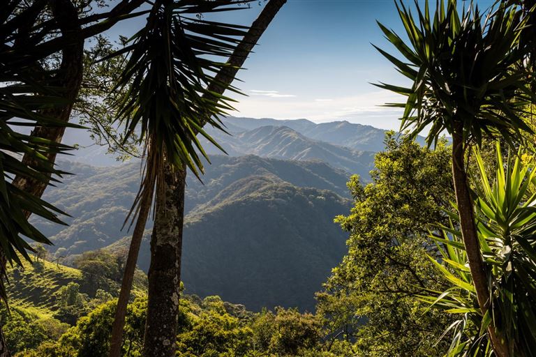 Costa Rica Aktiv - Monteverde & Regenwald – Rundreise