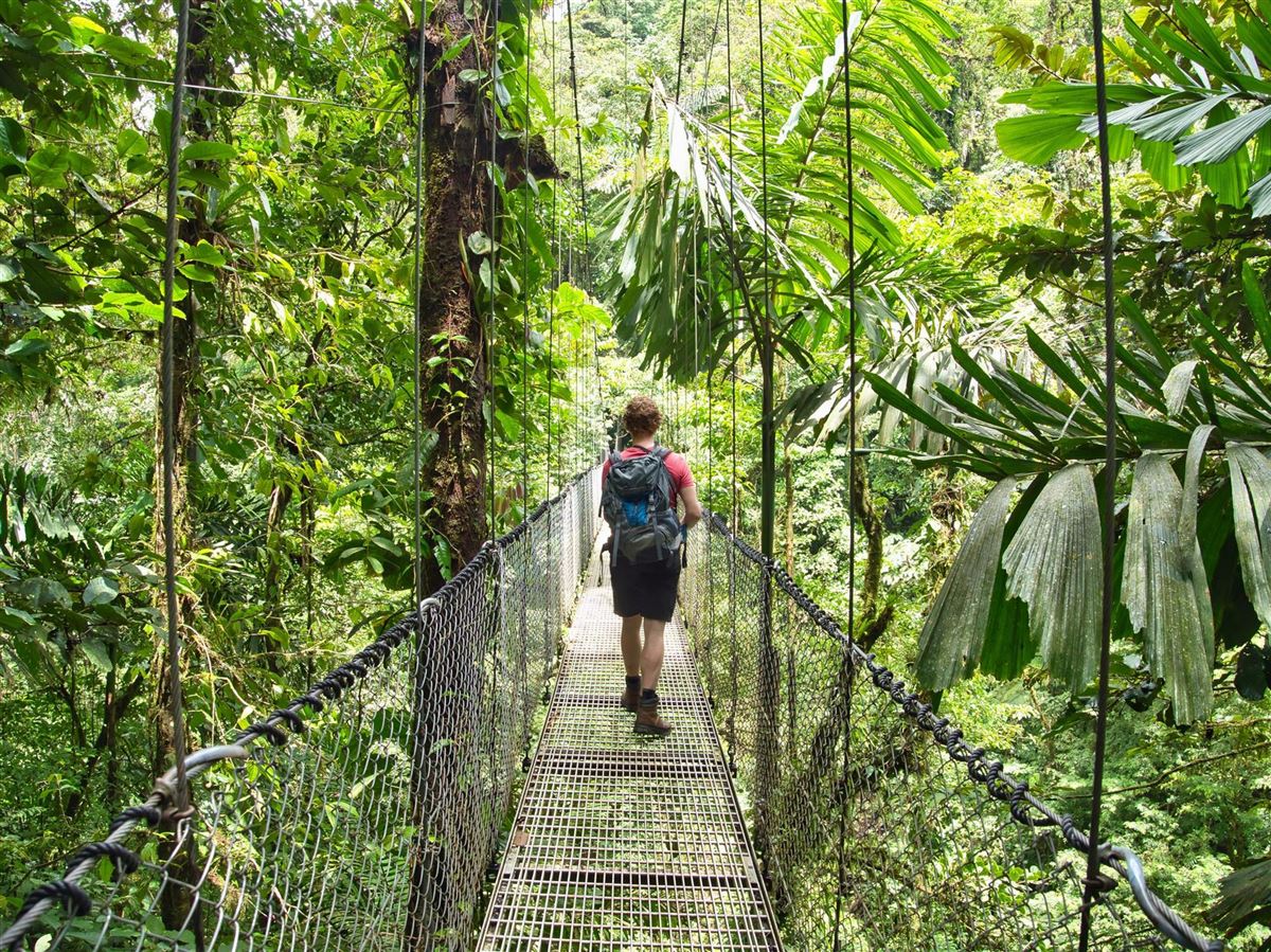 Costa Rica, Vulkan Arenal-Nationalpark, Haengebruecke