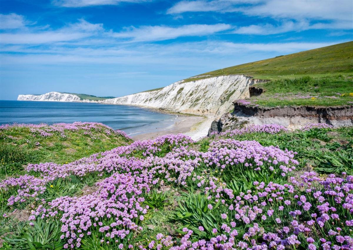 Compton Isle of Wight