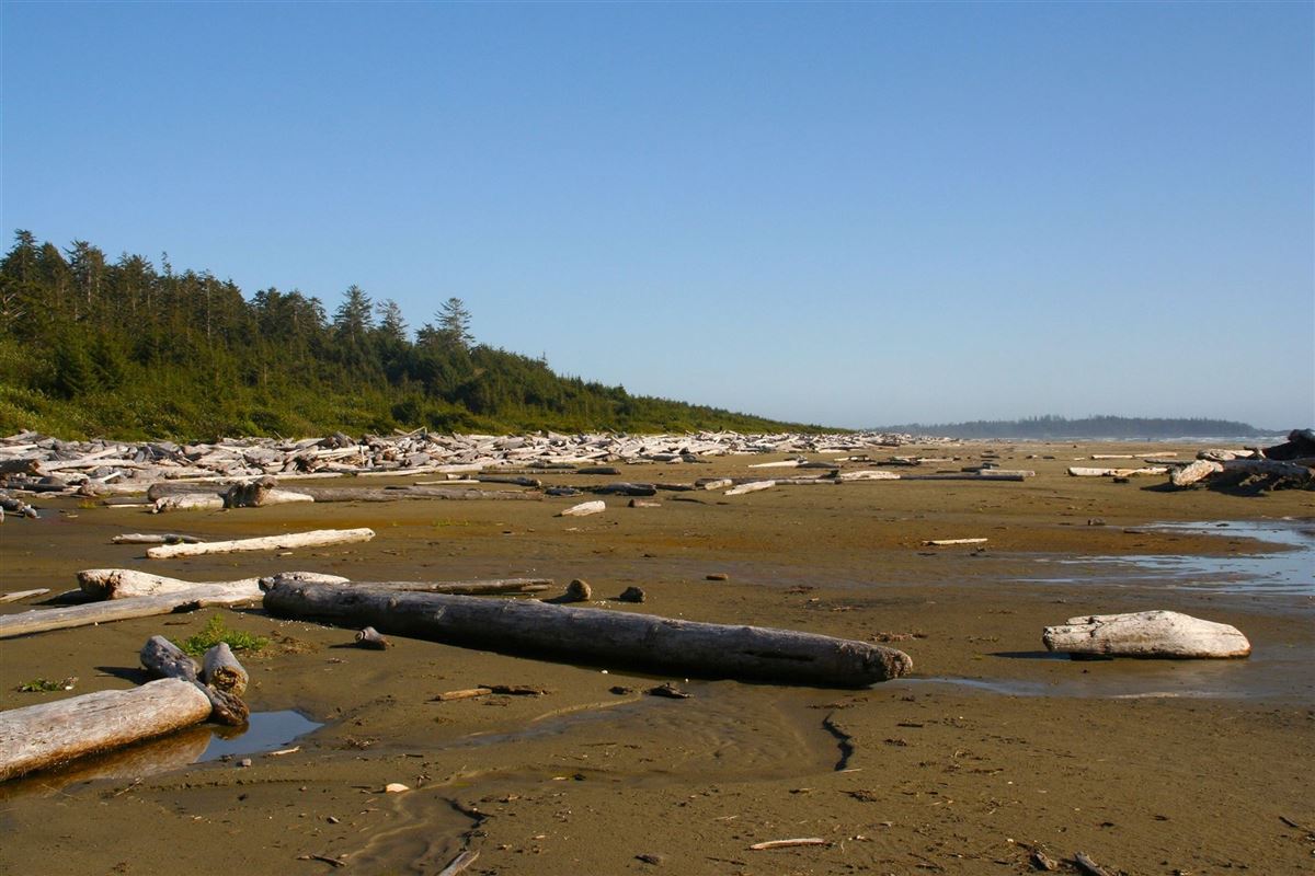 Treibgut im Pacific Rim NP