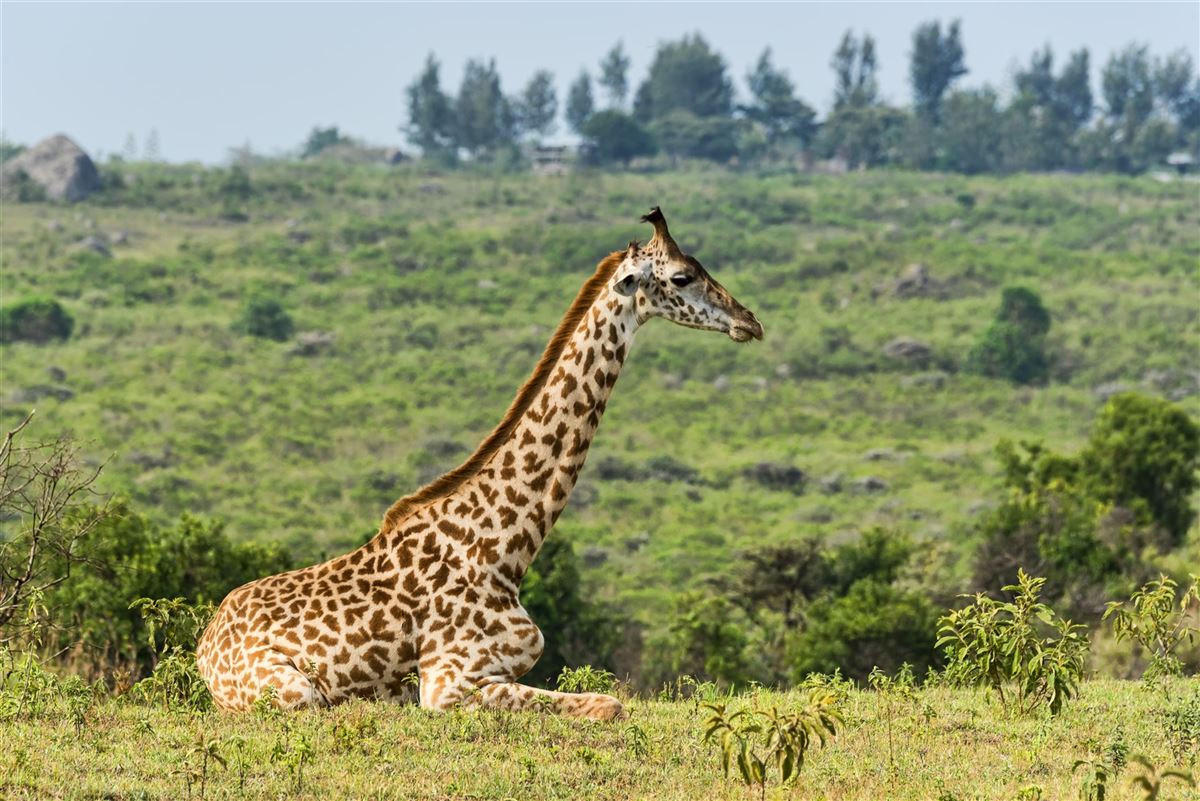 Tansania