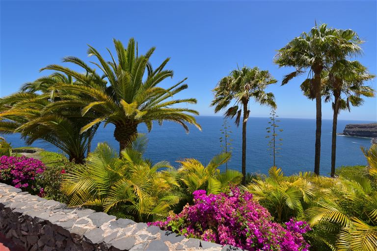 La Gomera für Singles und Alleinreisende – Rundreise