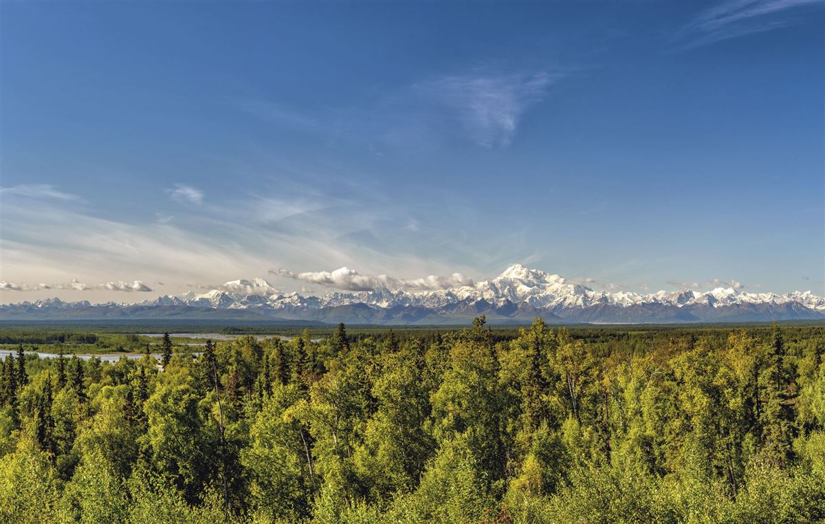 Fantastischer Blick auf den Denali-Nationalpark