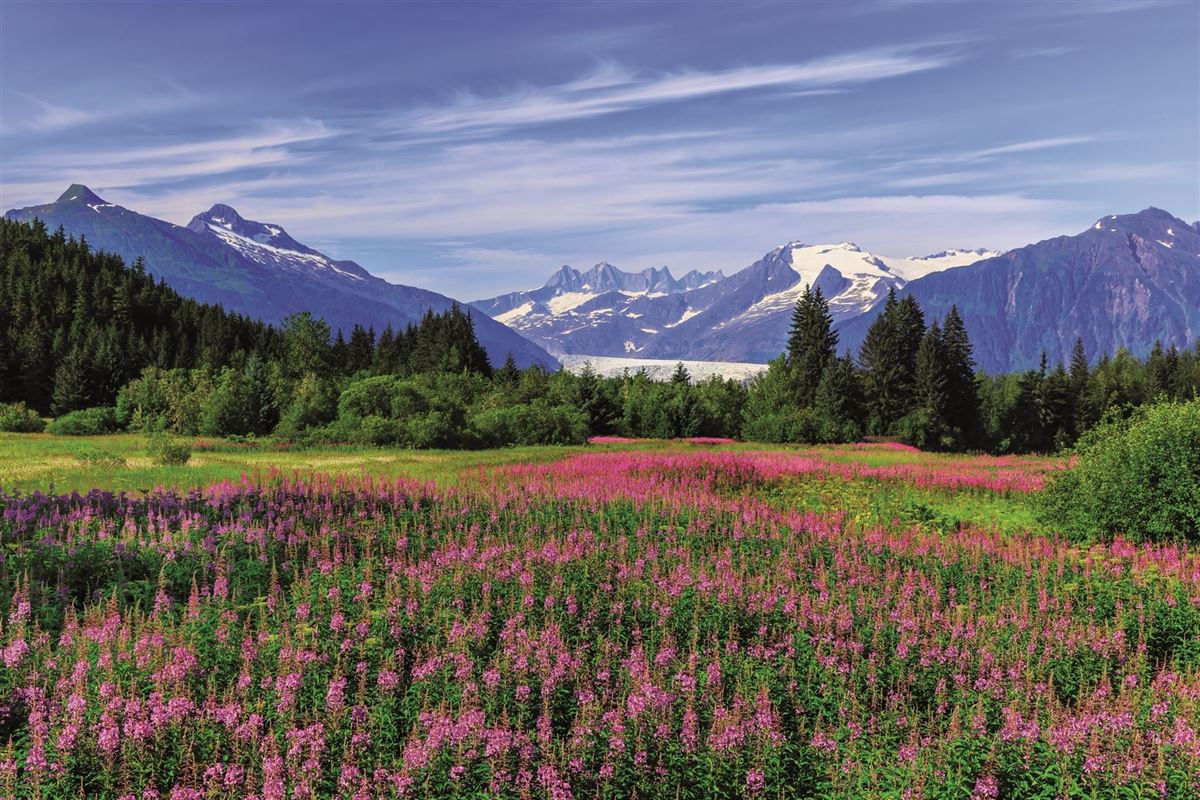 Alaska: Idyllische Bergszenerie