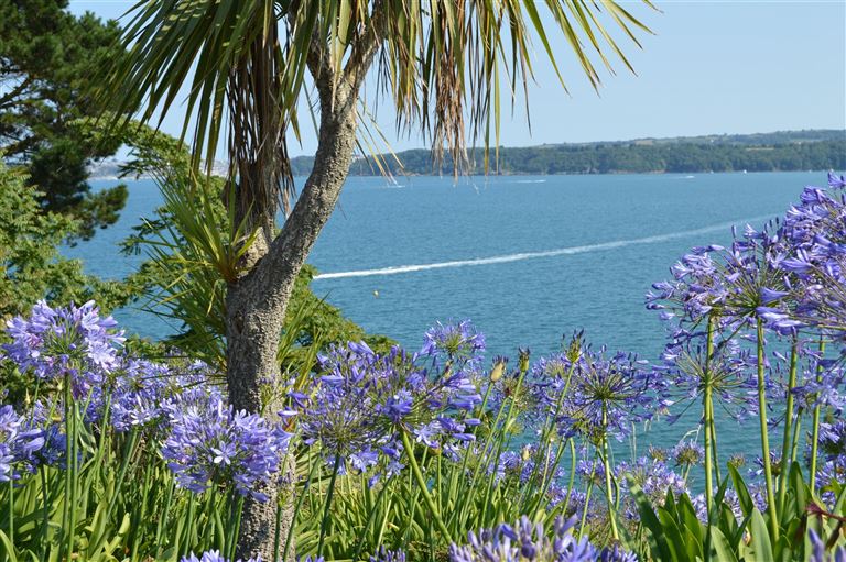 Englische Riviera für Singles und Alleinreisende – Rundreise
