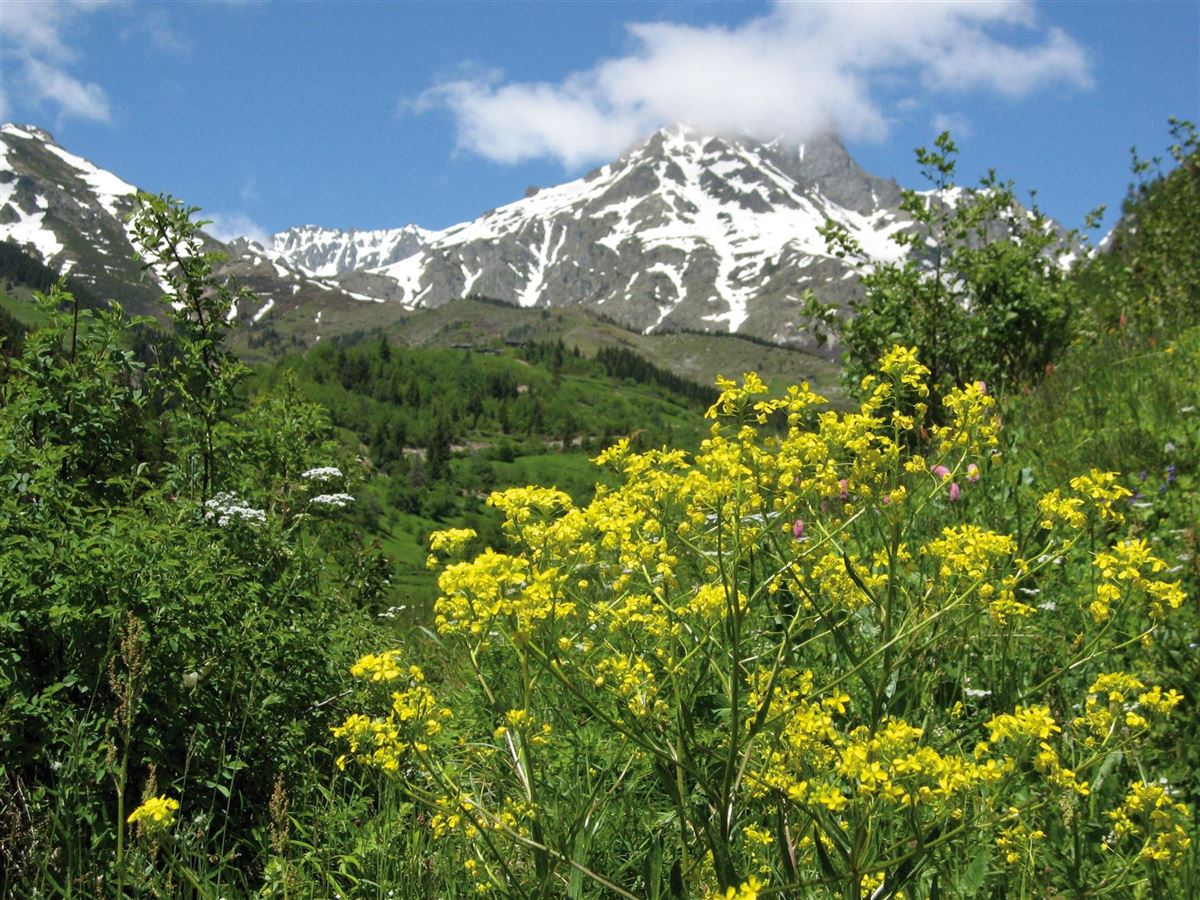 Kaçkar Daglari