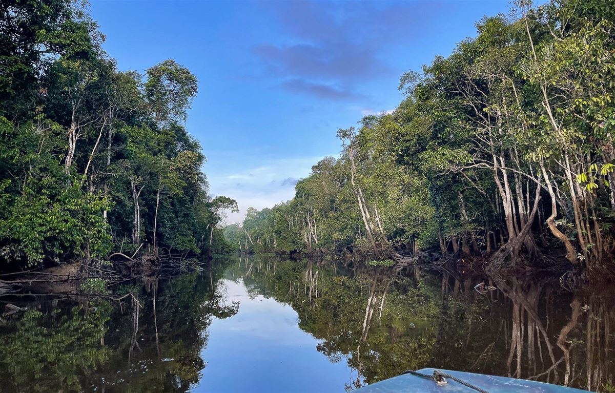 Bootstour in Kinabatangan