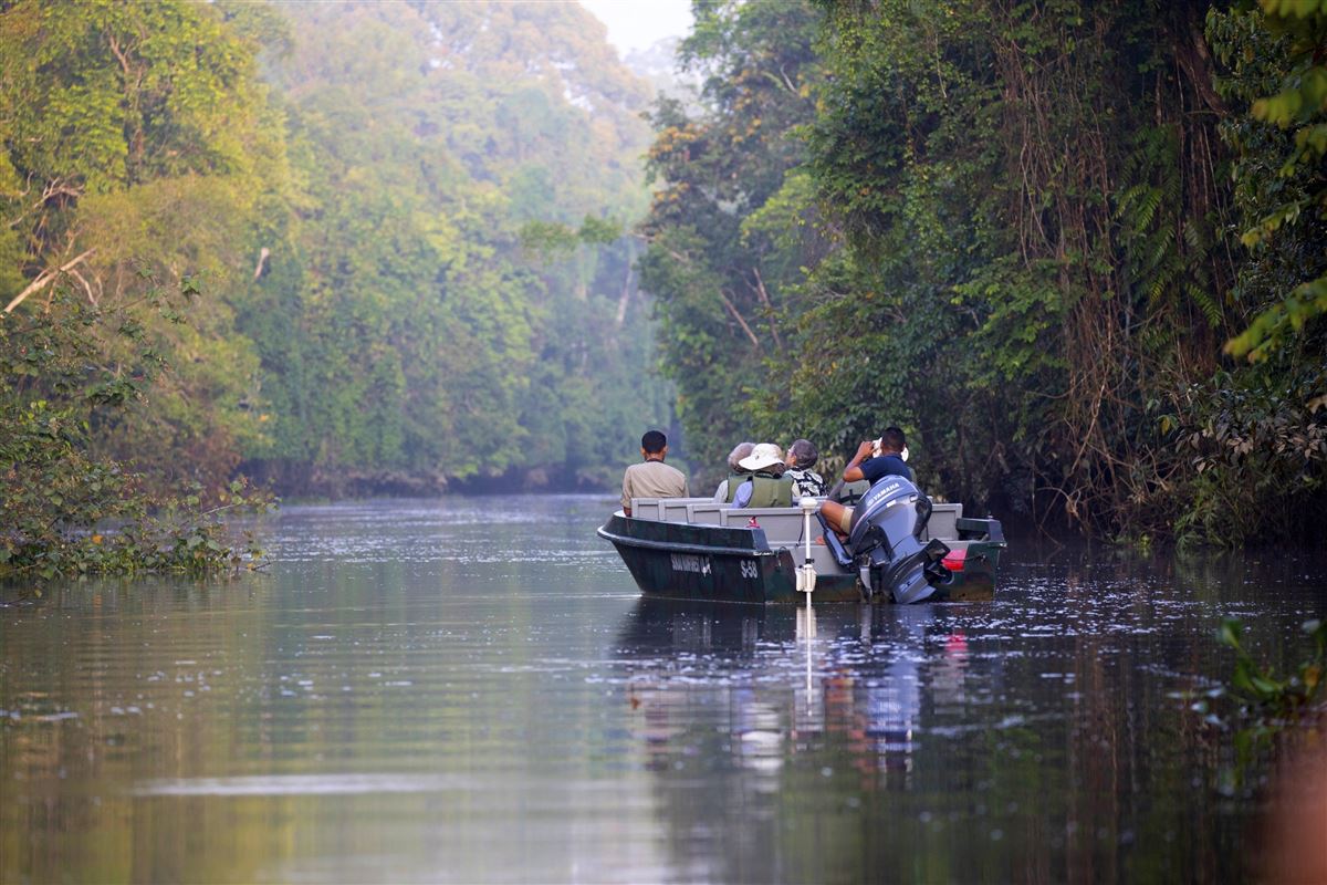 Mit dem Boot lässt es sich am Kinabatangan am besten auf Safari gehen.