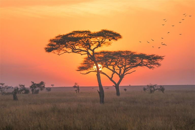 Safari-Abenteuer und Inselglück  – Rundreise