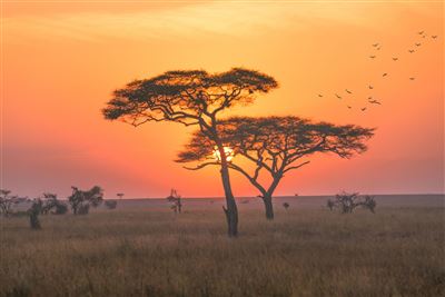 Nationalparks Tansania