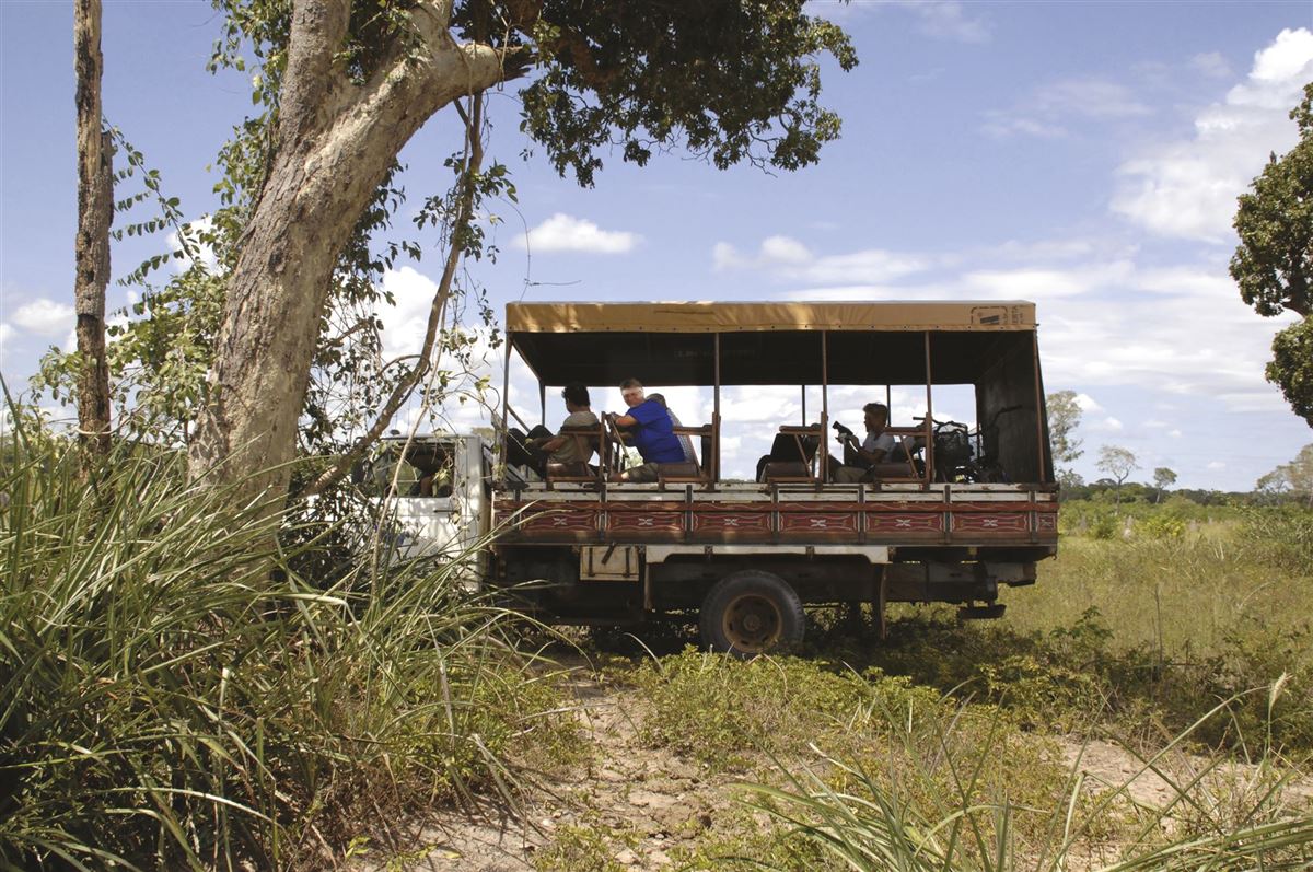 Auf Pirschfahrt im Pantanal