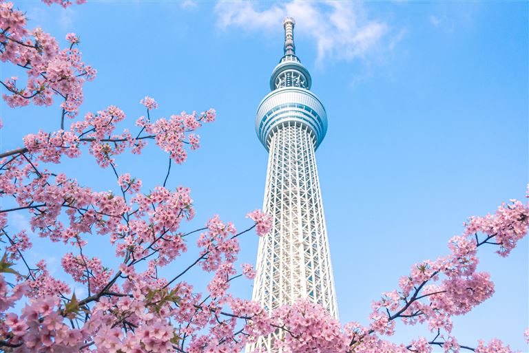Japan mit allen Sinnen  – Rundreise