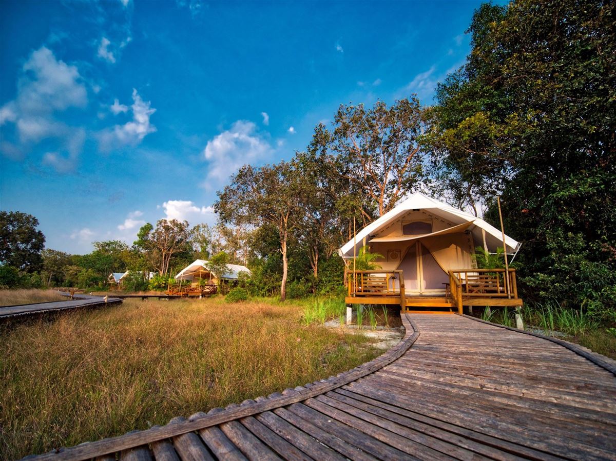 Cardamom Tented Camp